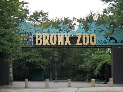 bronx zoo entree