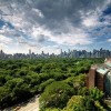 Photo jumeirah essex house on central park hotel vue paysage b