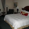 Photo hilton garden inn westbury chambre b