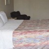 Photo sawmill river motel chambre b