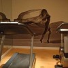 Photo hotel indigo chelsea sport fitness b