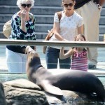 Photo central park zoo katie holmes suri cruise