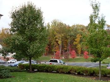 Candlewood Suites Morris Plains photo