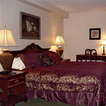 Cocca's Inn and Suites - Route 9 photo