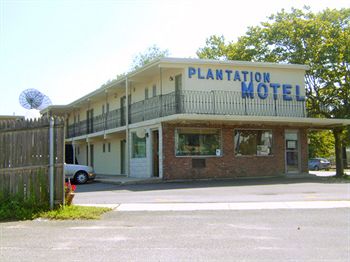Plantation Motel photo