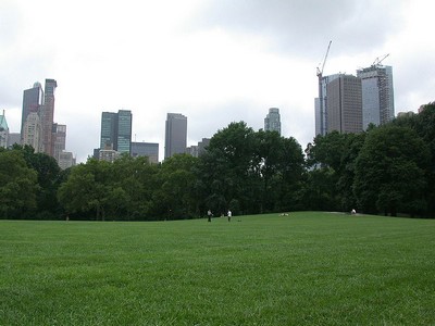 central park great lawn