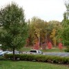 Candlewood Suites Morris Plains Candlewood Suites New York