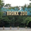 Bronx Zoo