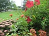 Jardin Botanique du Queens